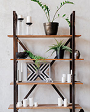 コレクションスペース