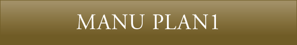 MENU PLAN01