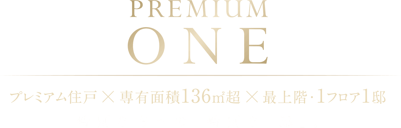PREMIUM ONE