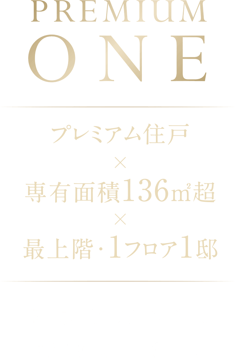 PREMIUM ONE