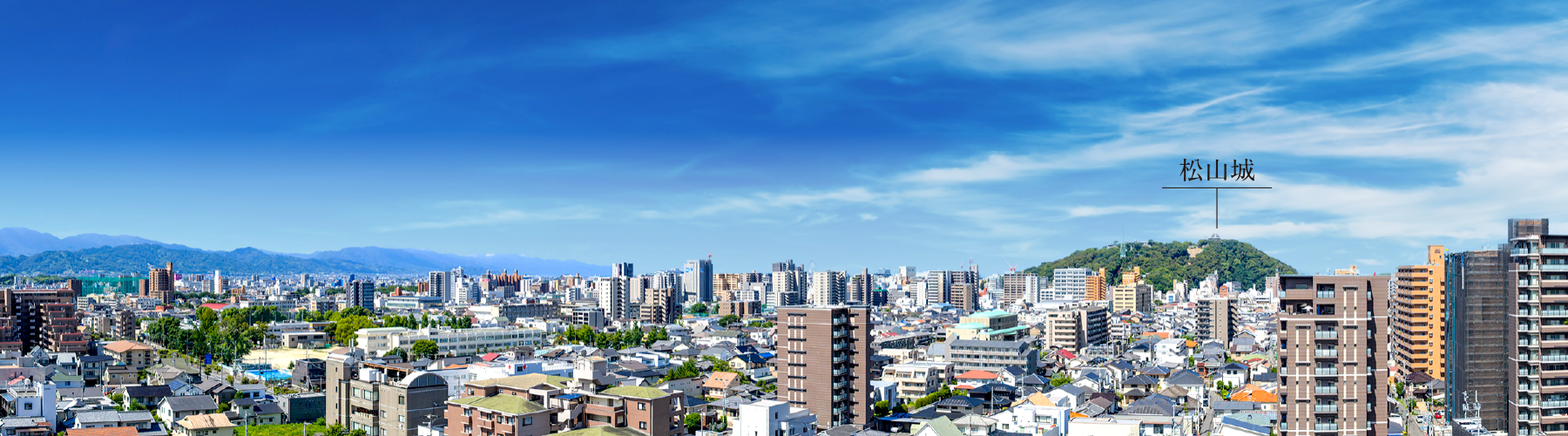 現地12階からの眺望